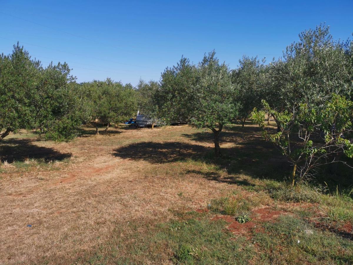 Jacuzi Cottage In The Olive Grove Pula Dış mekan fotoğraf