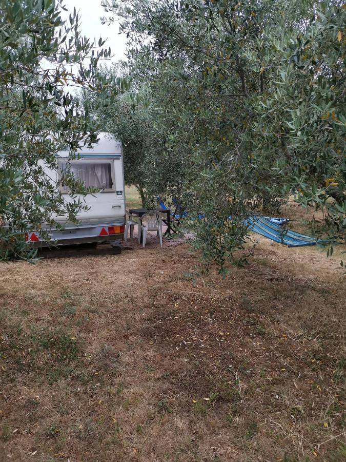Jacuzi Cottage In The Olive Grove Pula Dış mekan fotoğraf