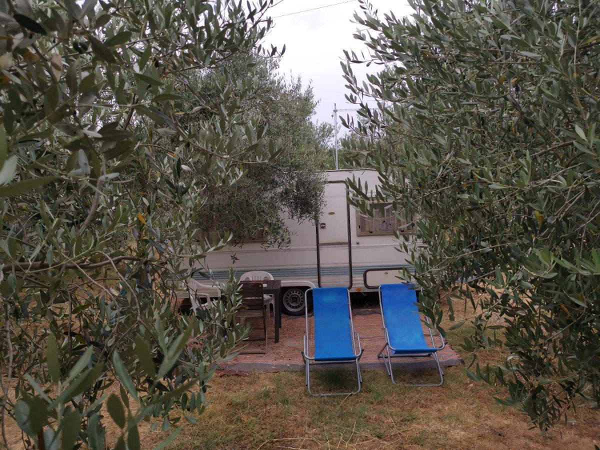 Jacuzi Cottage In The Olive Grove Pula Dış mekan fotoğraf