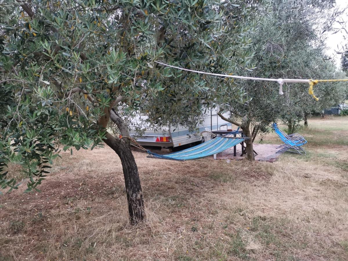 Jacuzi Cottage In The Olive Grove Pula Dış mekan fotoğraf