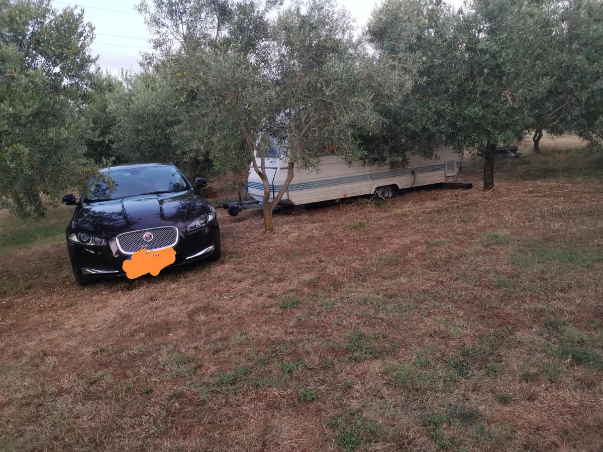 Jacuzi Cottage In The Olive Grove Pula Dış mekan fotoğraf