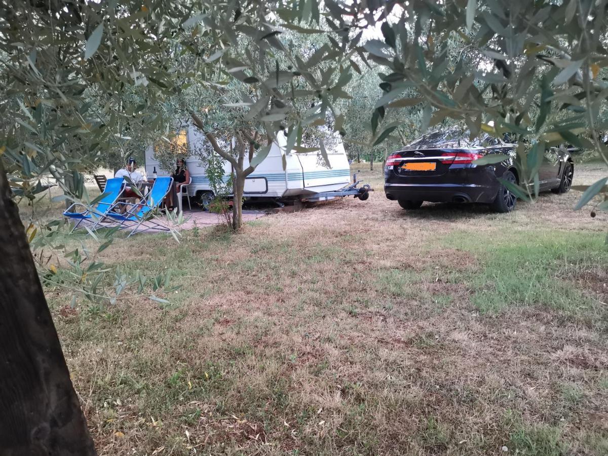Jacuzi Cottage In The Olive Grove Pula Dış mekan fotoğraf