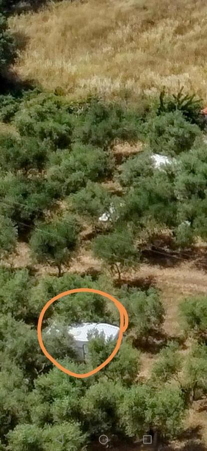 Jacuzi Cottage In The Olive Grove Pula Dış mekan fotoğraf