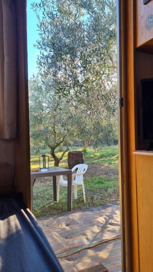 Jacuzi Cottage In The Olive Grove Pula Dış mekan fotoğraf