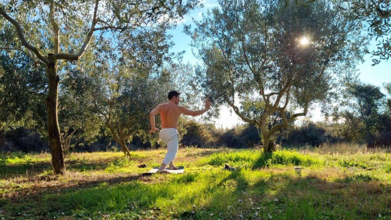 Jacuzi Cottage In The Olive Grove Pula Dış mekan fotoğraf