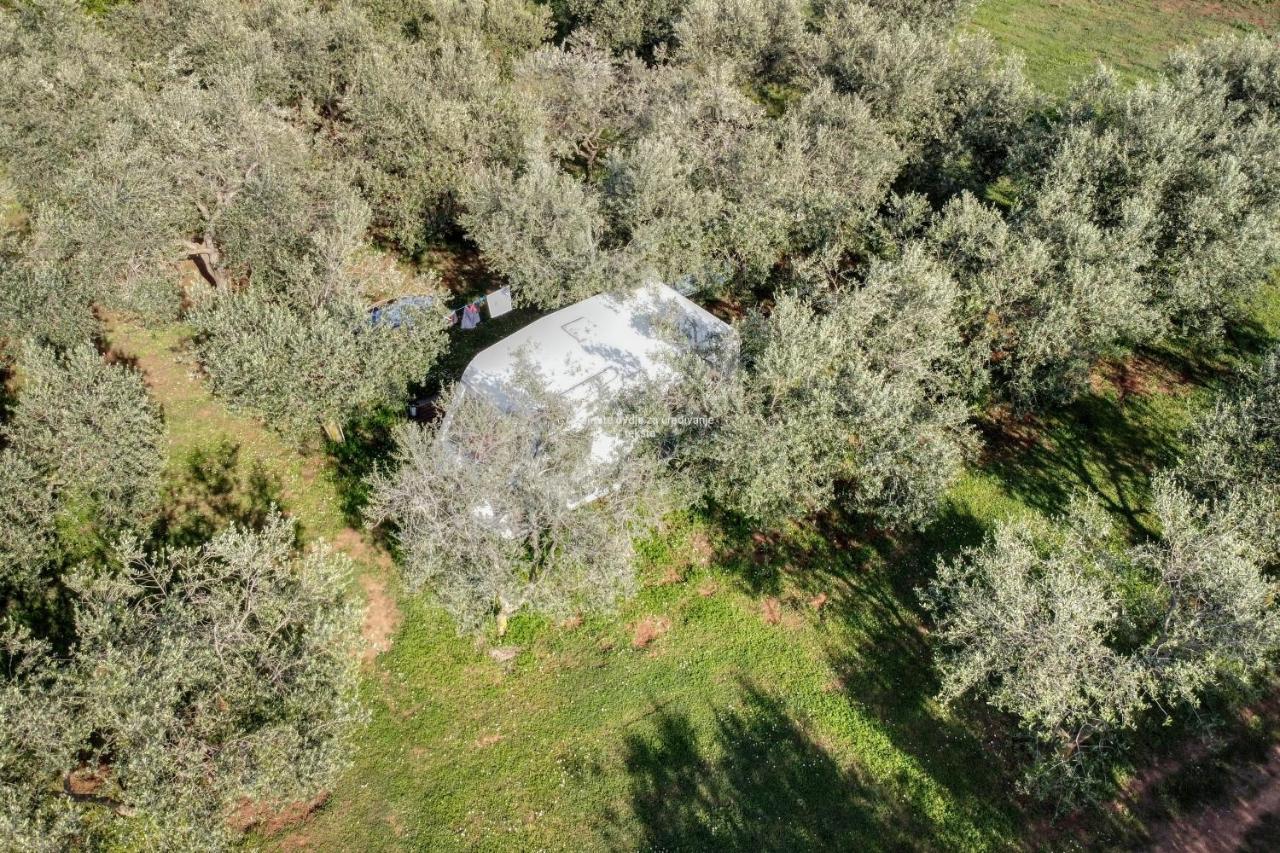 Jacuzi Cottage In The Olive Grove Pula Dış mekan fotoğraf