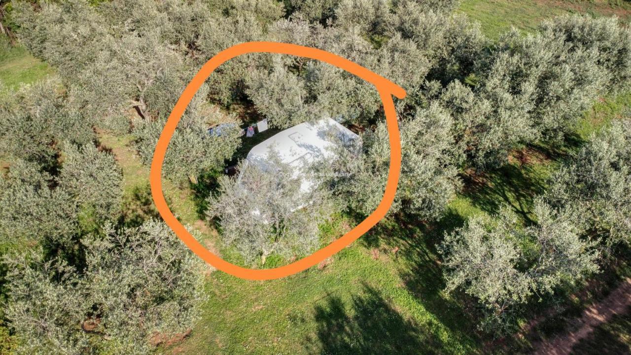 Jacuzi Cottage In The Olive Grove Pula Dış mekan fotoğraf