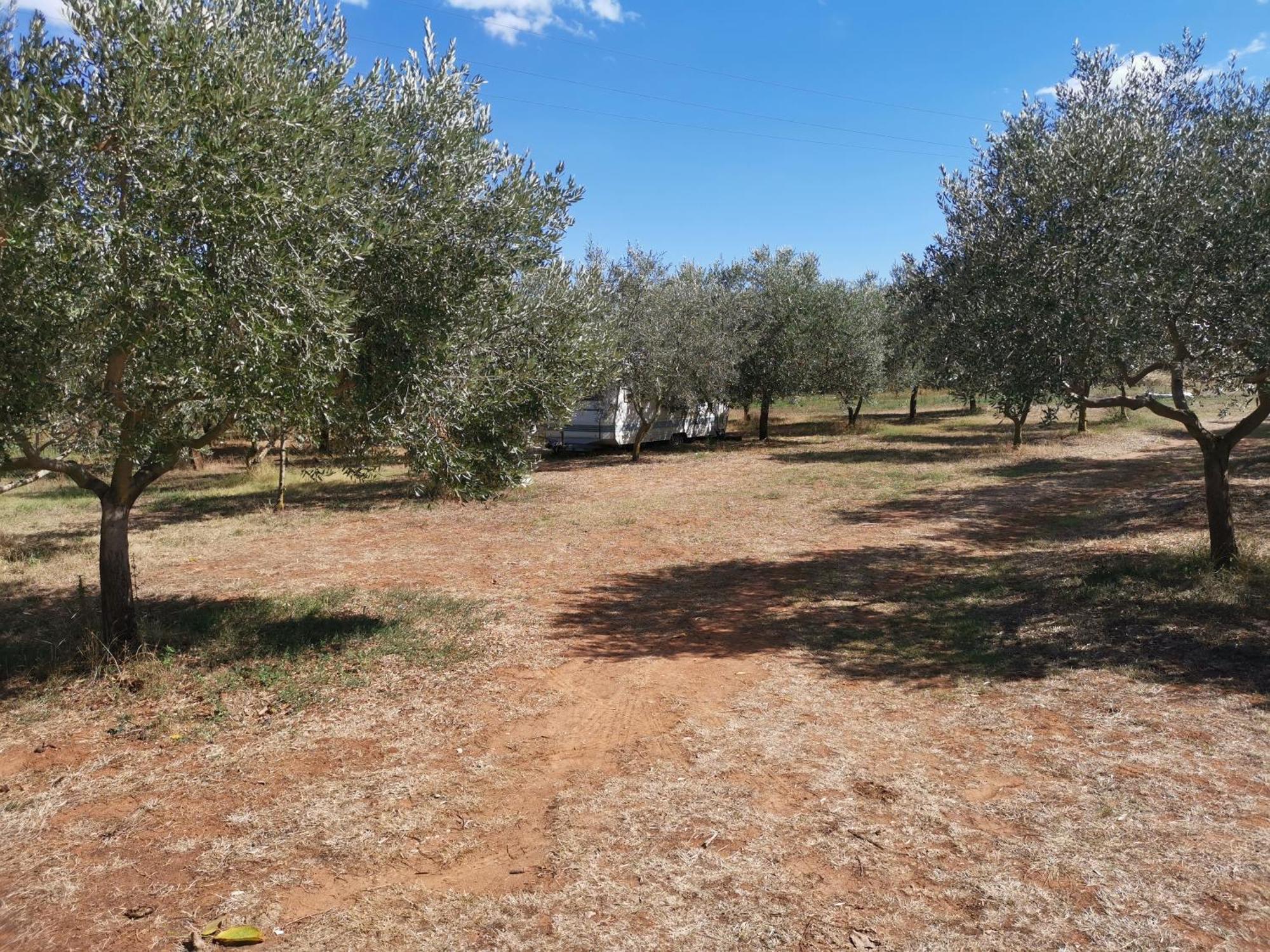 Jacuzi Cottage In The Olive Grove Pula Oda fotoğraf
